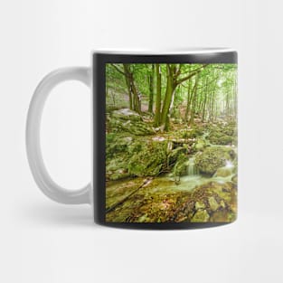 River flowing through rocks Mug